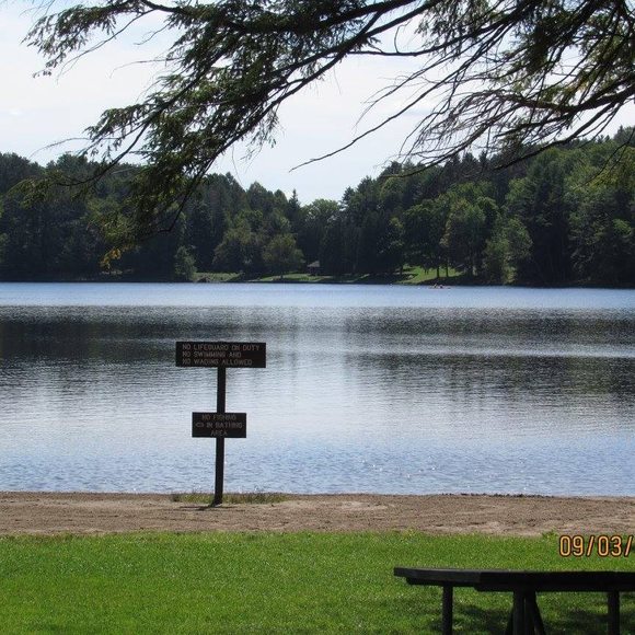 Meet your Posher, Phyllis - Picture 1 of 1